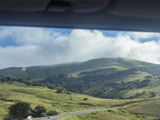 profile-image blessing