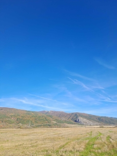 profile image djena23