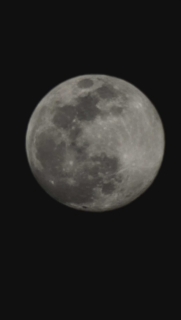 profile-image harold