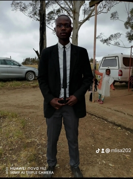 mr the brave one