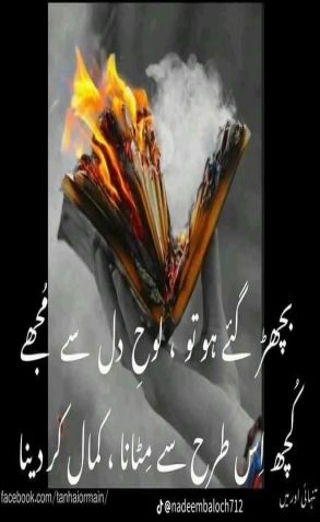 profile image uzair qazi