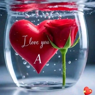 profile-image williams