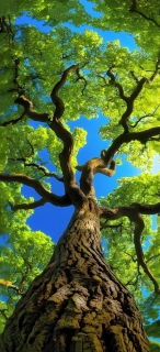 profile-image ytech empire